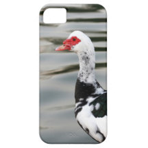 Vattenanka iPhone 5 Case-Mate Cases