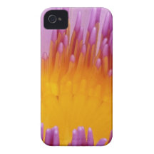 VATTENLILLY Case-Mate iPhone 4 FODRAL