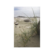 Växter på stranden (kanfastrycket) kanvasdukar med gallerikvalitet