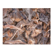 Vedtrave i vintervykort