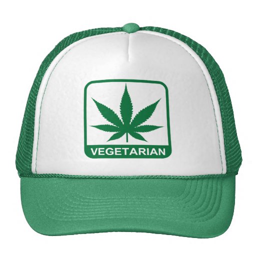 Vegetarian Mesh Kepsar