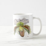 venus (dam häftklammermatare) kaffe muggar