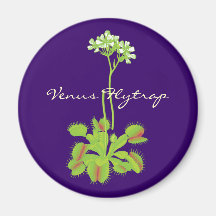 Venus Flytrapmagnet Kylskåpmagneter