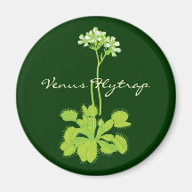 Venus Flytrapmagnet Kylskåpmagneter