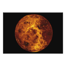 Venus Fotografi