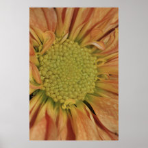 Vertikalt foto för gul daisy på kanvastryck affischer