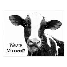 Vi flyttar oss! Moooving adressändringko Vykort