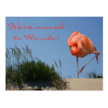 Vi har flyttat till Florida! StrandFlamingovykort