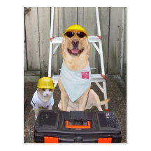 Vi önskar arbete! vykort
