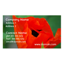 Vibrant Orange Poppy Business Cards