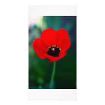 Vibrerande blomma anpassingsbara fotokort