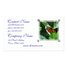 Viceroy Butterfly Business Card Template