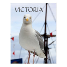 Victoria, fiskmås- och fartygvykort