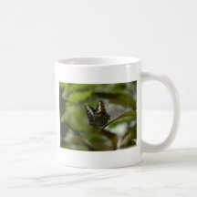 Vila för fjäril kaffe koppar