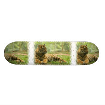 Vila tigerskateboarden