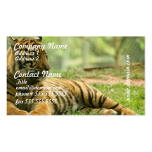 Vila tigervisitkortar
