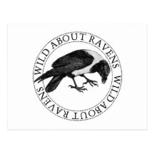 Vild om Ravens Vykort