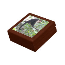 Vildapabild Presentförpackningar