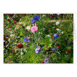 Vildblommakort
