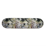 Vilden plocka svamp på att förmultna träd skate boards