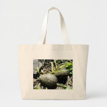 Vildfågelägg Tote Bag