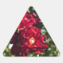 vildro triangle sticker