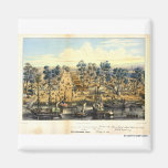 Ville de Sacramento, 1849. Kylskåpmagneter
