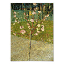 Vincent Van Gogh - mandelträd i blommar Foton