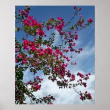 Vines till himmlen print