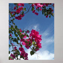 Vines till himmlen II Print
