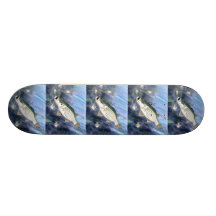 Vinnande konstverk av K. Dumont, klass 6 Skate Boards
