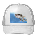 Vinnande konstverk av V. Gindele, klass 12 Trucker Keps