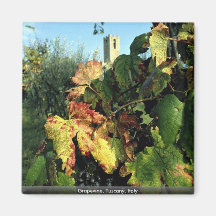 Vinranka Tuscany, italien Kylskåpmagneter