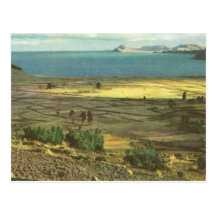 Vintage Bolivia, Lake Titicaca Postcard