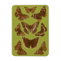 Vintage Butterflies and Moths Magnet