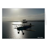 Vintagebi-flygplan i bildande kort