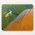 Vintagebi-flygplan Musmatta