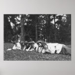 VintageEdwardian kvinnor Affisch