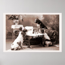 Vintagefotografibakrus med hundar affisch
