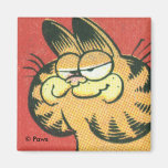 VintageGarfield magnet Magneter