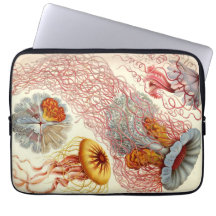VintageHaeckel manet Laptop Datorfodral