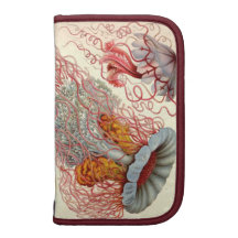 VintageHaeckel manet Personlig Almanacka