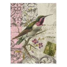 VintageHummingbird… vykort