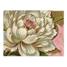 VintagePaeonyblomma Vykort