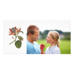 Vintagepassionblomma Hälsningskort Med Foto