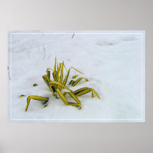 Vinter Affisch