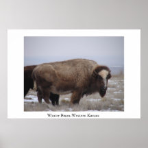 Vinter Bison-Westerna Kansas Print