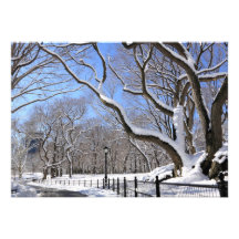 Vinter i Central Park, New York City Unika Inbjudningar