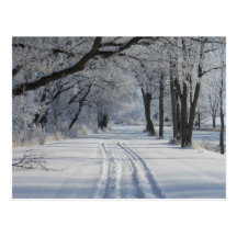 Vinter som går slingan vykort