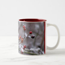 Vinterbär Kaffe Kopp